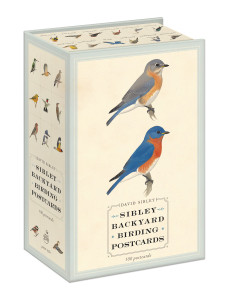 Sibley Backyard Birding Postcards: 100 Postcards - ISBN: 9780770433963