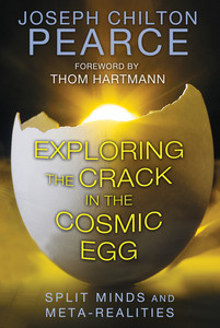 Exploring the Crack in the Cosmic Egg: Split Minds and Meta-Realities - ISBN: 9781620552544