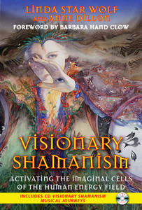 Visionary Shamanism: Activating the Imaginal Cells of the Human Energy Field - ISBN: 9781591431312