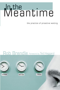 In the Meantime: The Practice of Proactive Waiting - ISBN: 9781400070084