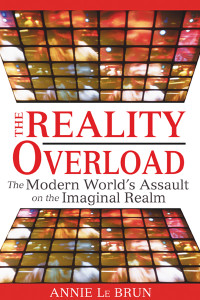The Reality Overload: The Modern World's Assault on the Imaginal Realm - ISBN: 9781594772443