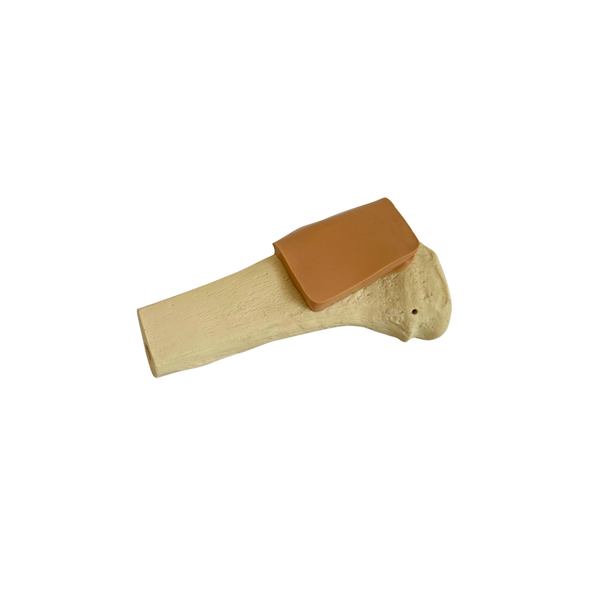 Adult Proximal Tibia Training Bone