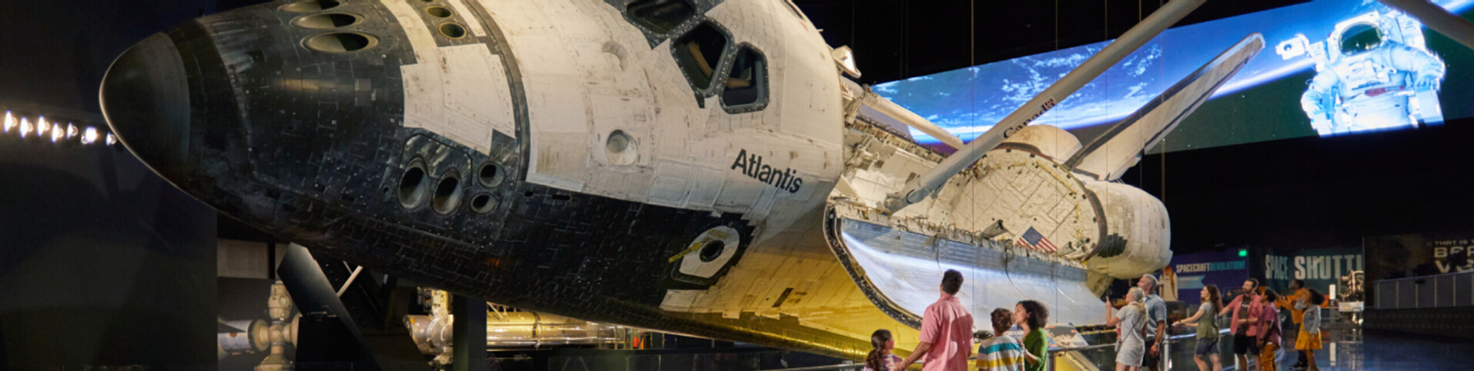 I Need My Space text with NASA meatball logo