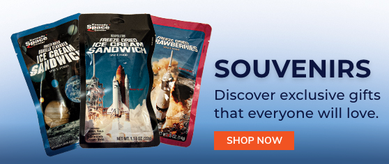 space food including ice cream sandwiches and strawberries