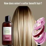 How does onion’s sulfur benefit hair?