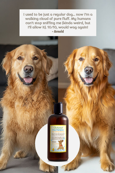 Itchy Skin Can We Use Human Shampoo On Dogs Itchy Skin Is It Ok To Use