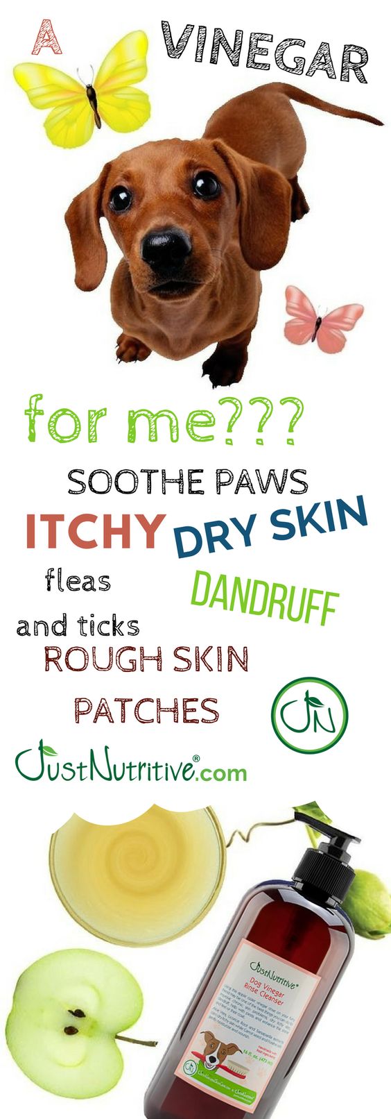 Dog Vinegar Rinse Cleanser Pet Care Just Nutritive