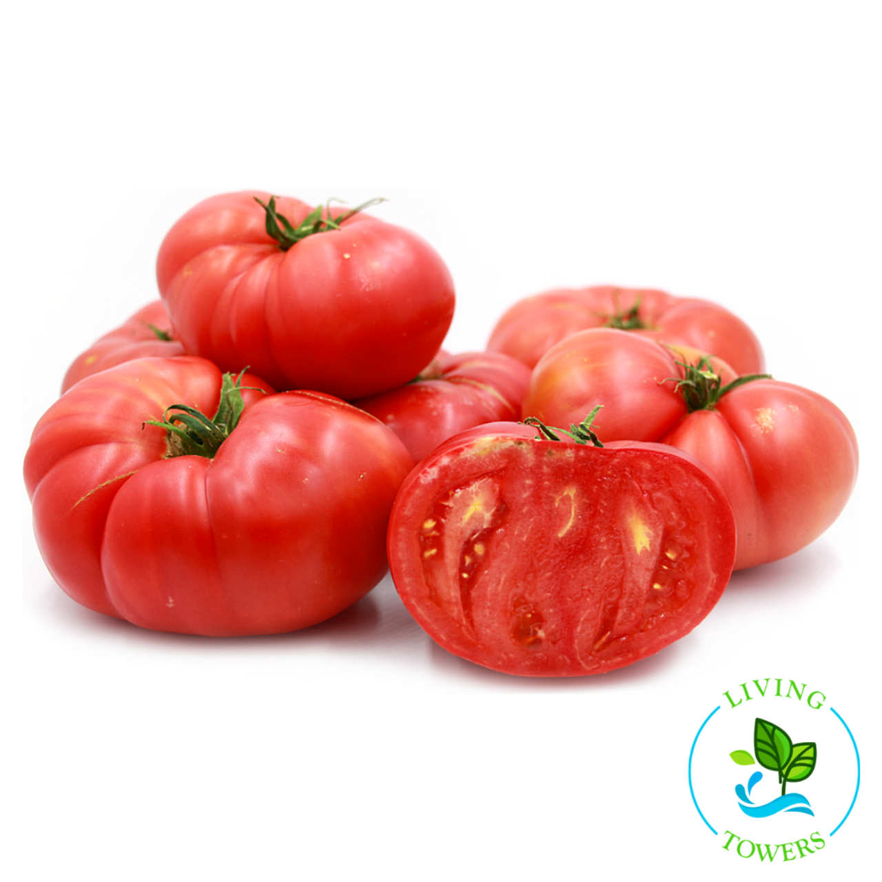 Tomato - Brandywine – Knippel Garden Centre