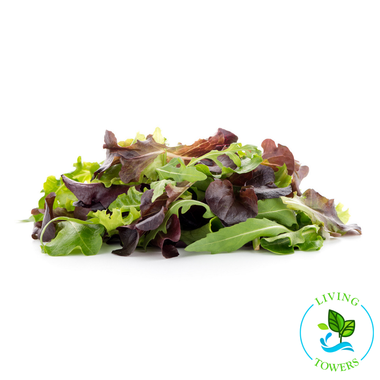 Spring Mix Lettuce Information  Learn About Spring Mix Lettuce