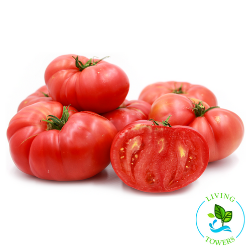 Vegetables - Tomato, Brandywine