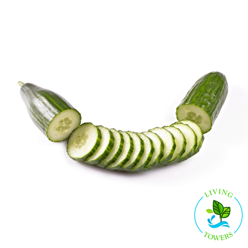 Vegetables - Cucumber, Tyria