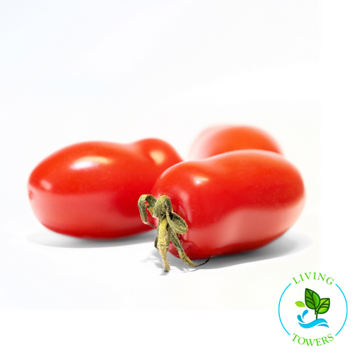 Vegetables - Tomato, Granadero