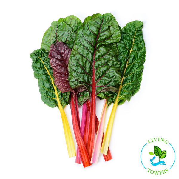 Greens - Swiss Chard