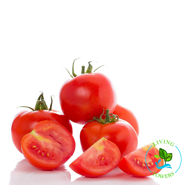 Vegetables - Tomato, Oregon Spring