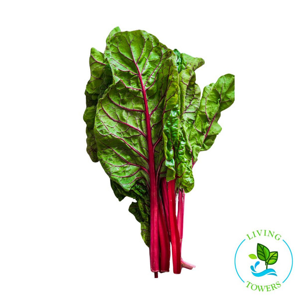 Greens - Swiss Chard, Ruby Red