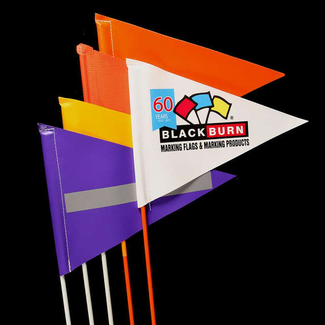 Field Flags Field Flags