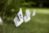 White Marking Flags
