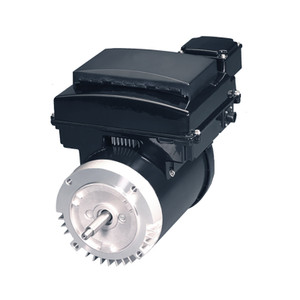 US Motors (Nidec), AC Motor, AVSS3, 3 HP, 1800 RPM, Single Phase, 230 V, 50 , 60 Hz, 56Y (AVSS3)