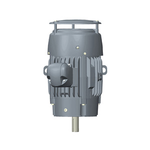 US Motors (Nidec), AC Motor, C10P2DCR, 10 HP, 1800 RPM, Three Phase, 208-230/460 & 190/380 V, 60 , 50 Hz, 215TC (C10P2DCR)