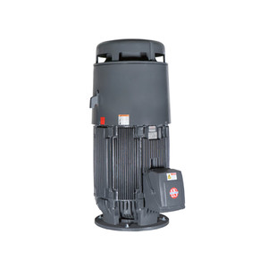 US Motors (Nidec), AC Motor, NO20P2BE, 20 HP, 1800 RPM, Three Phase, 230/460 V, 60 Hz, 256VP (NO20P2BE)