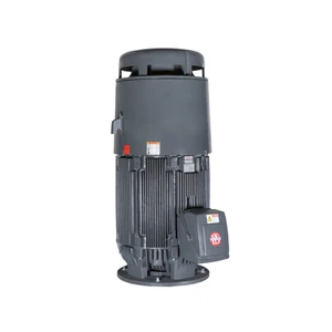 US Motors (Nidec), AC Motor, NT2P3BE, 2 HP, 1200 RPM, Three Phase, 230/460 V, 60 Hz, 184VP (NT2P3BE)