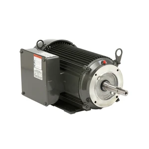 US Motors (Nidec), AC Motor, UJ10C2K21P, 10 HP, 1800 RPM, Single Phase, 230 V, 60 Hz, 215JP (UJ10C2K21P)