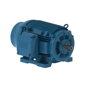 WEG, AC Motor, 06012ET3G404T-W22, 60 HP, 1200 RPM, 404, 5T, Three Phase, 460 V, 60 Hz (06012ET3G404T-W22)