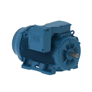 WEG, AC Motor, 15012ET3E447T-W22, 150 HP, 1200 RPM, 445, 7T, Three Phase, 230/460 V, 60 Hz (15012ET3E447T-W22)