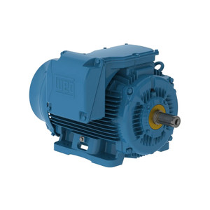 WEG, AC Motor, 45012ET3GRB586, 7-W22, 450 HP, 1200 RPM, 586, 7, Three Phase, 460 V, 60 Hz (45012ET3GRB586, 7-W22)