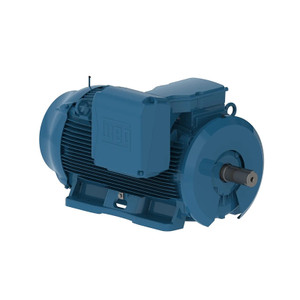 WEG, AC Motor, 45009ET3G588, 9-W22, 450 HP, 900 RPM, 588, 9, Three Phase, 460 V, 60 Hz (45009ET3G588, 9-W22)