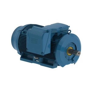 WEG, AC Motor, 65036ET3G588, 9S-W22, 650 HP, 3600 RPM, 588, 9S, Three Phase, 460 V, 60 Hz (65036ET3G588, 9S-W22)