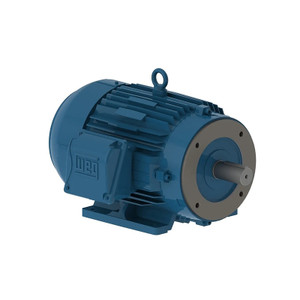 WEG, AC Motor, 00118ET3H143TC-W22, 1 HP, 1800 RPM, 143, 5TC, Three Phase, 575 V, 60 Hz (00118ET3H143TC-W22)