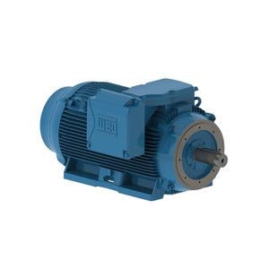 WEG, AC Motor, 30018ET3G449TC-W22, 300 HP, 1800 RPM, 447, 9TC, Three Phase, 460 V, 60 Hz (30018ET3G449TC-W22)