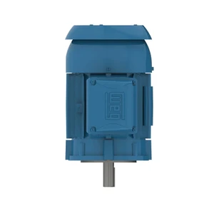 WEG, AC Motor, 00236ET3ER145TC-W22, 2 HP, 3600 RPM, 145TC, Three Phase, 230/460 V, 60 Hz (00236ET3ER145TC-W22)