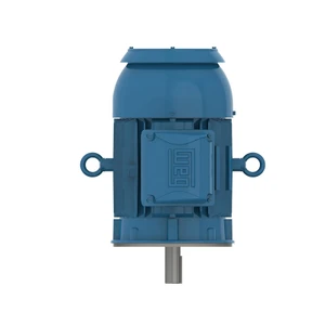 WEG, AC Motor, 00312ET3ER213TC-W22, 3 HP, 1200 RPM, 213TC, Three Phase, 230/460 V, 60 Hz (00312ET3ER213TC-W22)