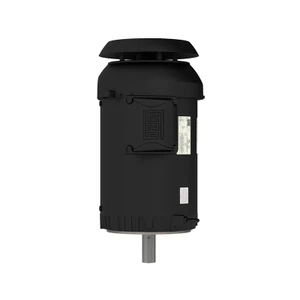 WEG, AC Motor, 00512ET3ER215TC-S, 5 HP, 1200 RPM, 213, 5TC, Three Phase, 230/460 V, 60 Hz (00512ET3ER215TC-S)