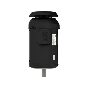 WEG, AC Motor, 00512ET3ER215TC-S, 5 HP, 1200 RPM, 213, 5TC, Three Phase, 230/460 V, 60 Hz (00512ET3ER215TC-S)