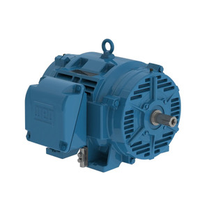 WEG, AC Motor, 05012OT3V365T-W40, 50 HP, 1200 RPM, 364, 5T, Three Phase, 200/400 V, 60 Hz (05012OT3V365T-W40)