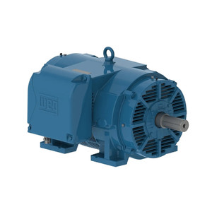 WEG, AC Motor, 30018OT3G447, 9TS-W40, 300 HP, 1800 RPM, 447, 9TS, Three Phase, 460 V, 60 Hz (30018OT3G447, 9TS-W40)