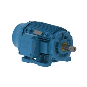WEG, AC Motor, 10018ST3HIERB405T-W2, 100 HP, 1800 RPM, 404, 5T, Three Phase, 575 V, 60 Hz (10018ST3HIERB405T-W2)