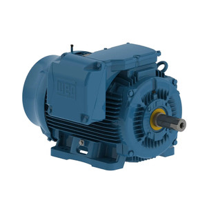 WEG, AC Motor, 12509ST3QIERB447T-W2, 125 HP, 900 RPM, 445, 7T, Three Phase, 460 V, 60 Hz (12509ST3QIERB447T-W2)