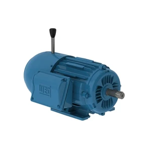 WEG, AC Motor, 00118ET3HBM143T-W22, 1 HP, 1800 RPM, 143, 5T, Three Phase, 575 V, 60 Hz (00118ET3HBM143T-W22)