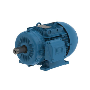WEG, AC Motor, 00312ET3EAL132M-W22, 4 HP, 1200, 1000 RPM, 132M, Three Phase, 230, 460, 190, 380 V, 60 Hz (00312ET3EAL132M-W22)