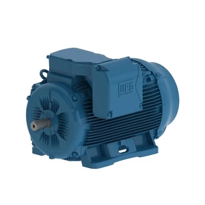 WEG, AC Motor, 150 HP, 3600, 3000 RPM, 315S, M, Three Phase, 460, 380-415, 660-690 V, 60 Hz (11036ET3Y315S/M-W22)