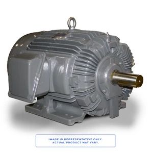 TECO CD3008R 300 HP, 900 RPM, 460 V, TEFC, 5806C Frame, Three Phase, 60/50 Hz (CD3008R)