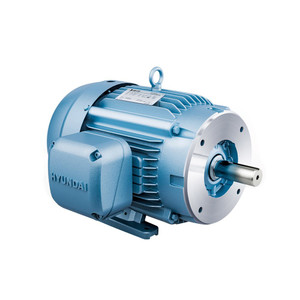 Hyundai HES AC Motor, 25 HP, 1200 RPM, 230/460 V, TEFC, 324TC Frame, 60 Hz (HES25-12-324TC)