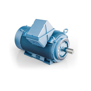 Hyundai HHI AC Motor, 600 HP, 3600 RPM, 460 V, TEFC, 5812SC Frame, 60 Hz (HSDE600-36-5812SC-IBSHSP)