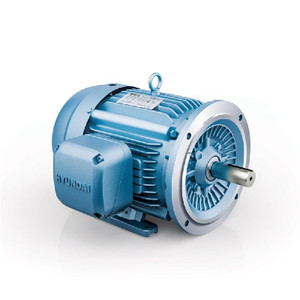 Hyundai HES AC Motor, 50 HP, 1800 RPM, 230/460 V, TEFC, 326TD Frame, 60 Hz (HES50-18-326TD)