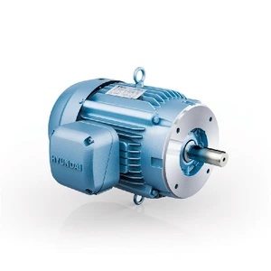 Hyundai HHI AC Motor, 60 HP, 3600 RPM, 230/460 V, TEFC, 364TSC Frame, 60 Hz (HHI60-36-364TSCRD)