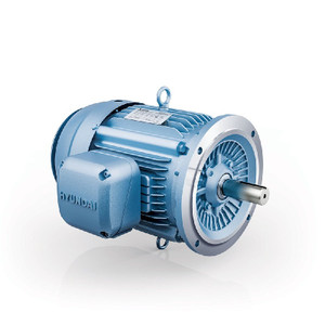 Hyundai HHI AC Motor, 60 HP, 1800 RPM, 230/460 V, TEFC, 364TD Frame, 60 Hz (HHI60-18-364TDRD)